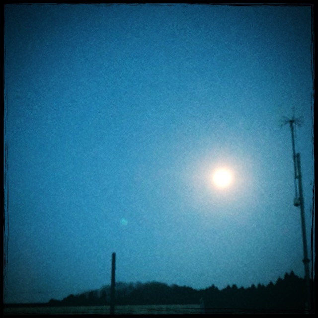 �ӂ䂲����