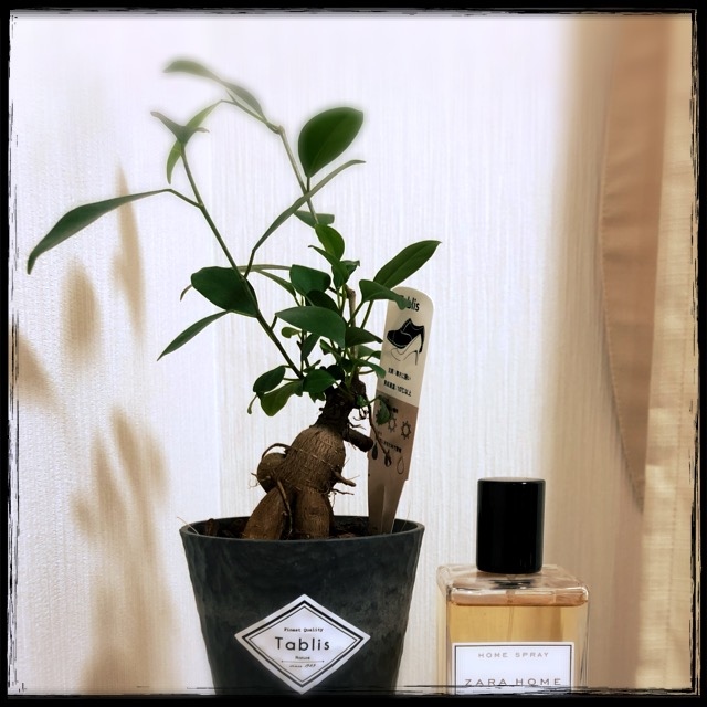 �`���x���[�Y�փh�j�[