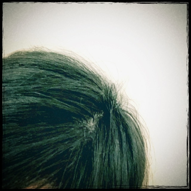 �A�t�^�[�V�����v�[�̋q