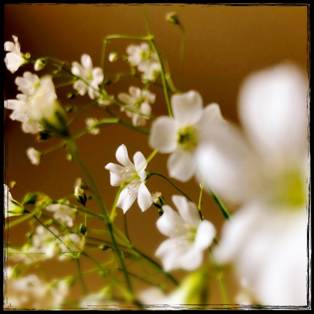 �����ݑ��H