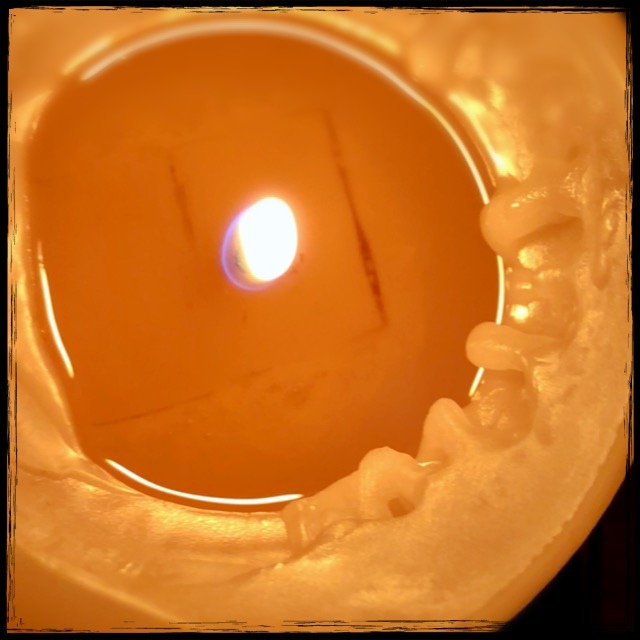 �L�����h������Ă�