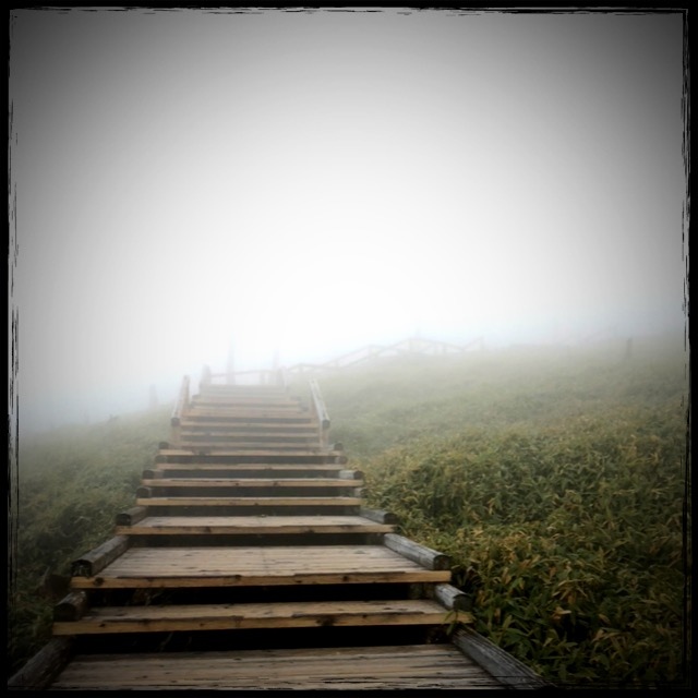 ����̍��܂�