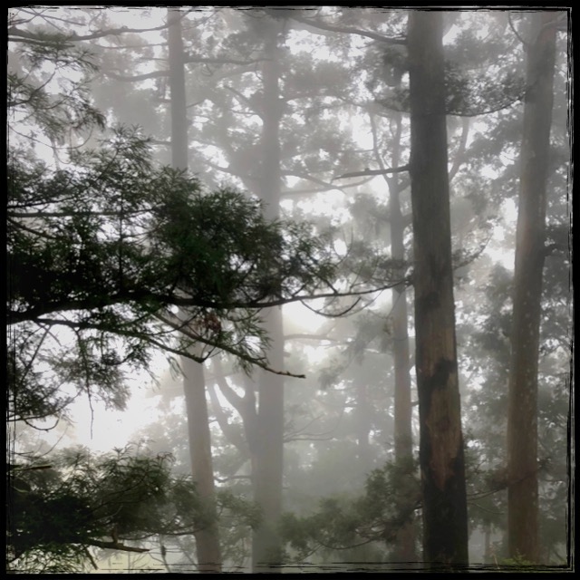 �Ă�ł��������Ă邾�낤��