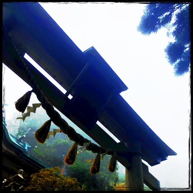 �Ă�ł����������I