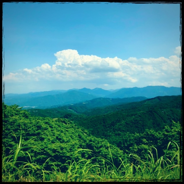 �Z�݂����ꏊ