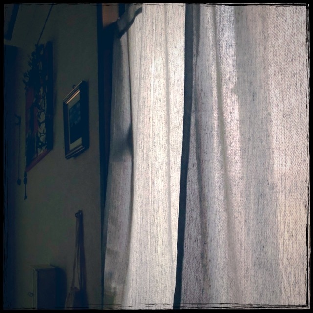 �t�͂����ڂ�